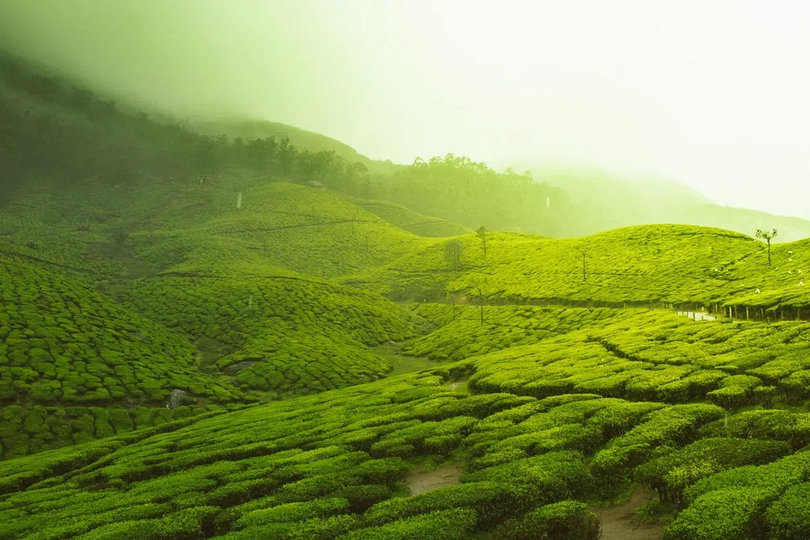 Kerala, India in September