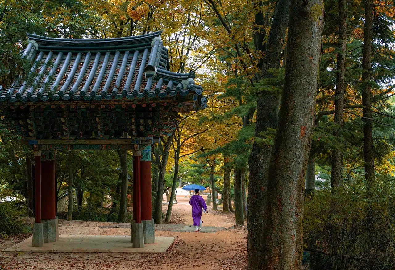Seoul South Korea אישור נסיעה לדרום קוריאה